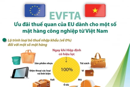 ƯU ĐÃI THUẾ CHO HOẠT ĐỘNG XUẤT NHẬP KHẨU THEO HIỆP ĐỊNH EVFTA