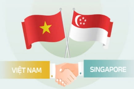 MỐI QUAN HỆ KINH TẾ GIỮA VIỆT NAM - SINGAPORE